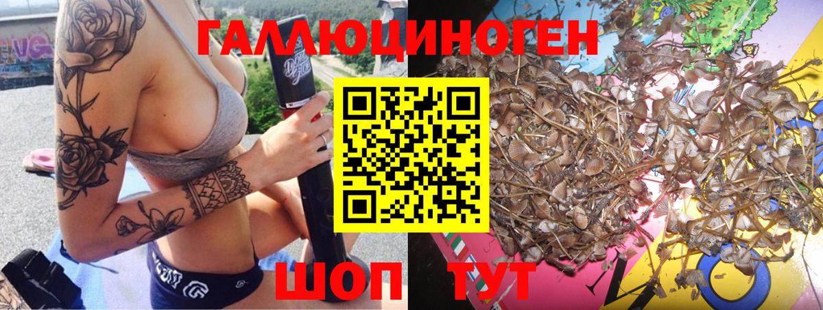 Галлюциногенные грибы Psilocybine cubensis  купить  цена  Кимры  Вход с VPN 