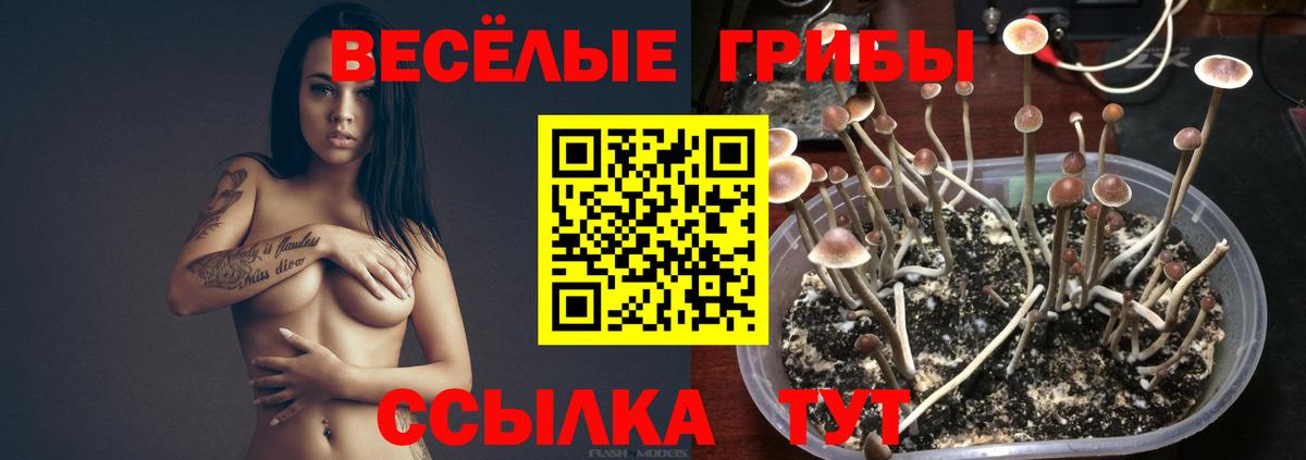 Галлюциногенные грибы Magic Shrooms Кимры
